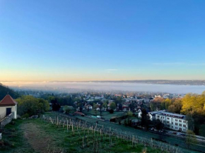 Wohlfühl-Apartment mit unvergleichbarer Aussicht